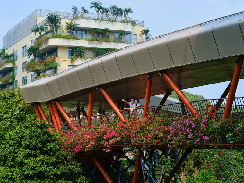 Cầu Mây mái cong màu trắng trên khung thép đỏ, hoa giấy hồng nở dọc lan can, phía sau là tòa nhà nhiều tầng có cây xanh